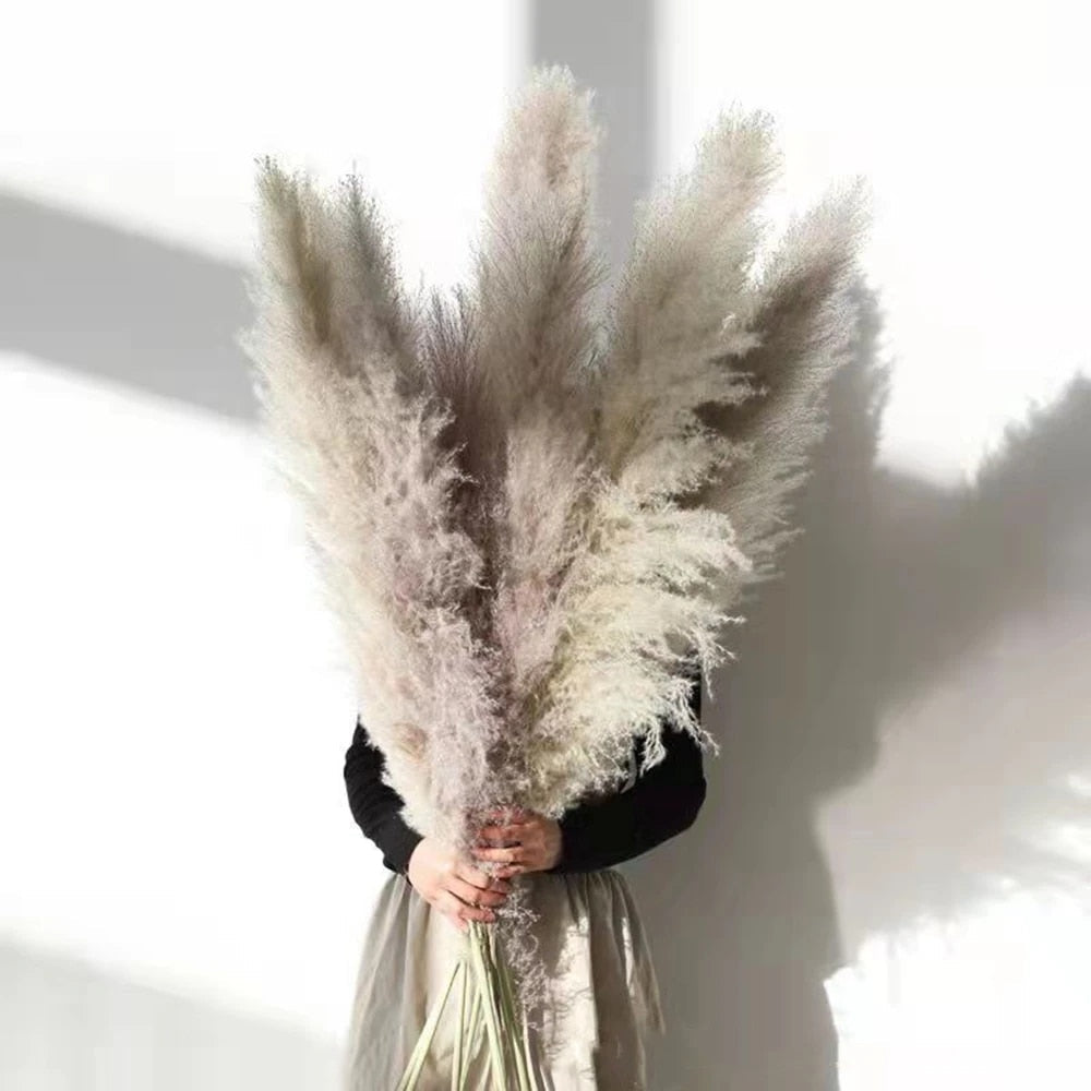 NatureFlair - Gedroogde Pluimen | Natuurlijke Decoratie