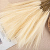 FloraBloom - Pluizige Pampas Kunstbloemen | Luxe Decoratieve Planten voor Huisdecoratie