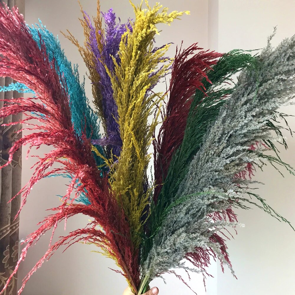 NatureFlair - Gedroogde Pluimen | Natuurlijke Decoratie