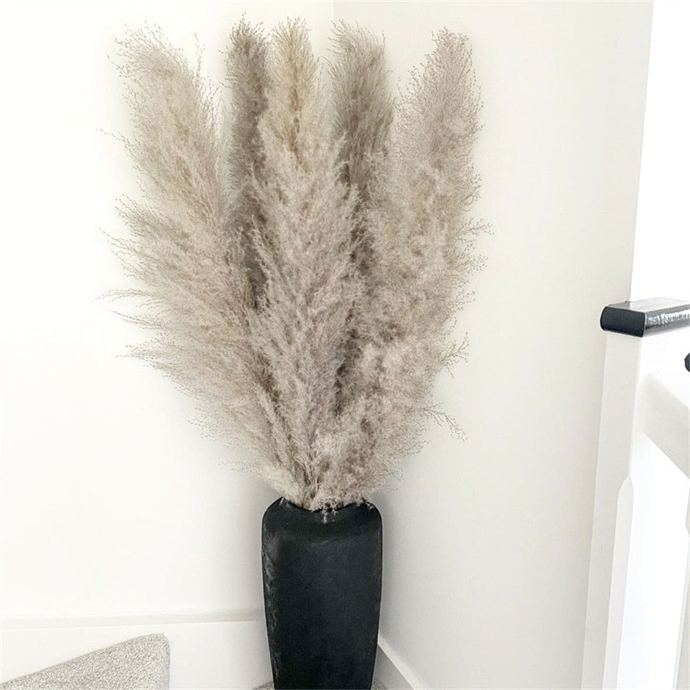 NatureFlair - Gedroogde Pluimen | Natuurlijke Decoratie