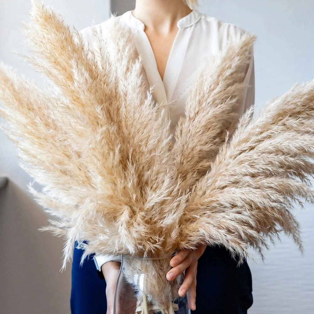 NatureFlair - Gedroogde Pluimen | Natuurlijke Decoratie