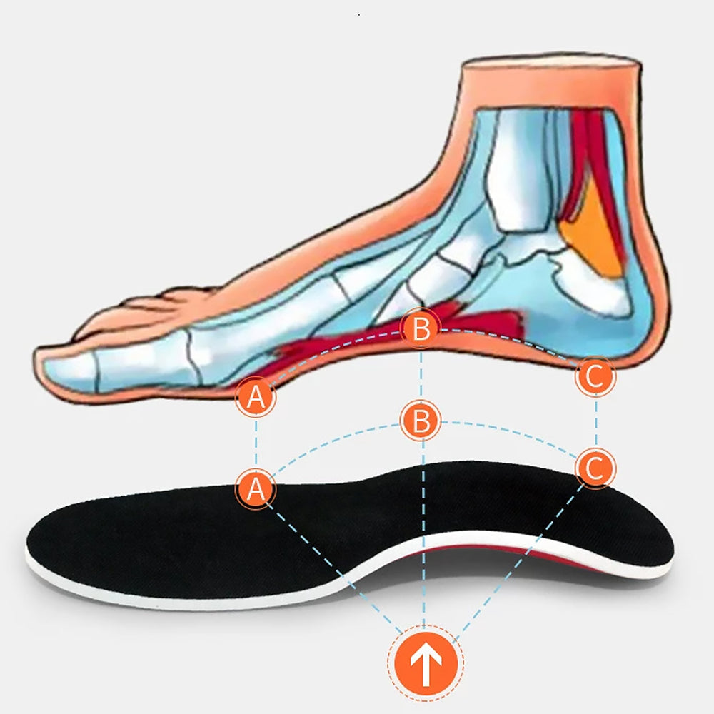 ErgoFit - Orthopedische Inlegzolen voor Ondersteuning en Comfort