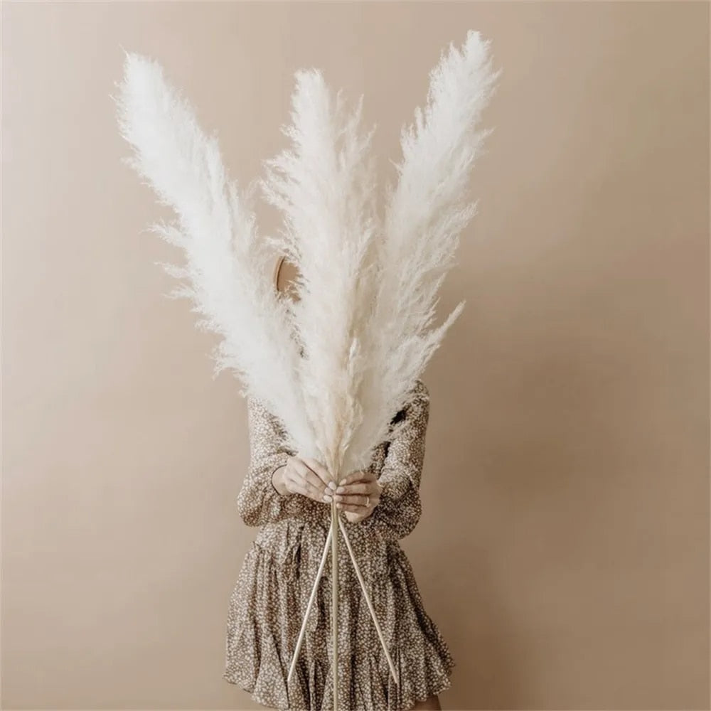 NatureFlair - Gedroogde Pluimen | Natuurlijke Decoratie