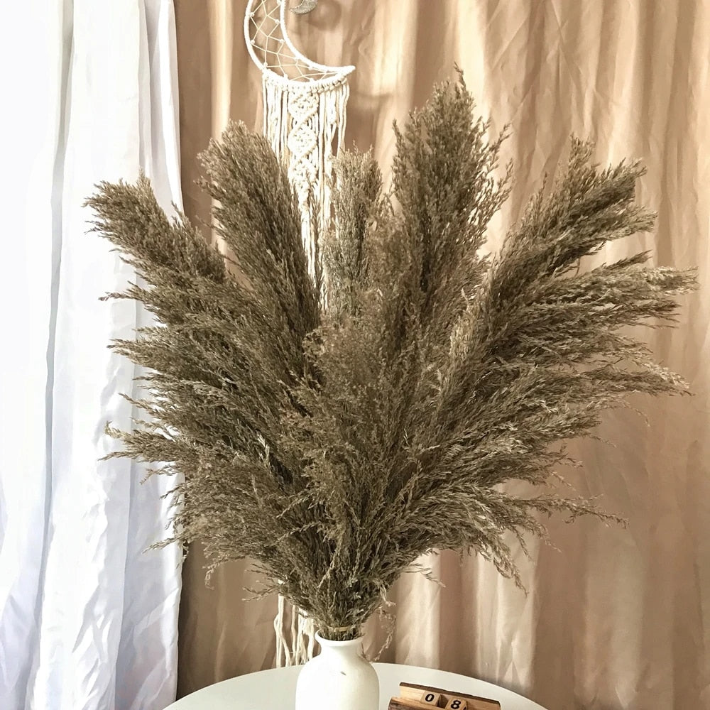 NatureFlair - Gedroogde Pluimen | Natuurlijke Decoratie